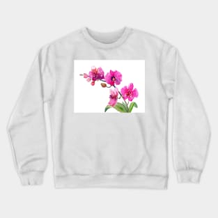 Pink Orchid flowers Crewneck Sweatshirt